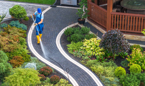 Best Roof Power Washing Services  in Canadian Lakes, MI